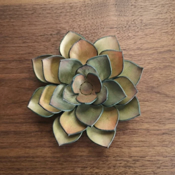 Patrón de plantas suculentas